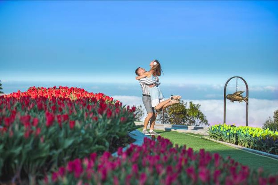 Valentine ngọt như mật tại thiên đường tulip Sun World Ba Na Hills - 5 Valentine ngọt như mật tại thiên đường tulip Sun World Ba Na Hills - 5