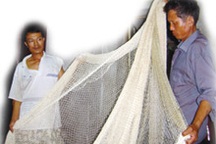 Huyền thoại cá Anh Vũ