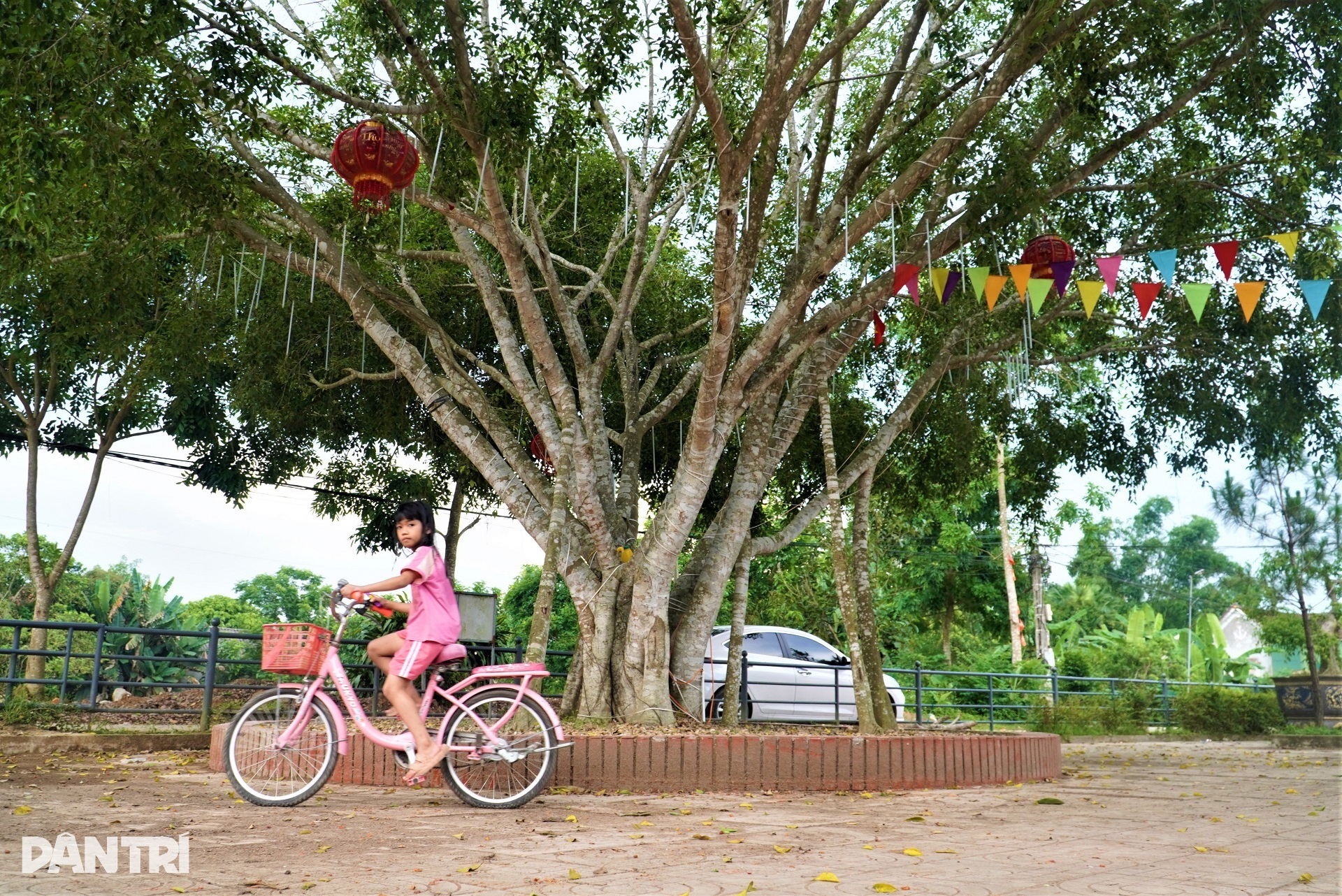 Nơi lưu dấu thời niên thiếu của Bác Hồ - 10