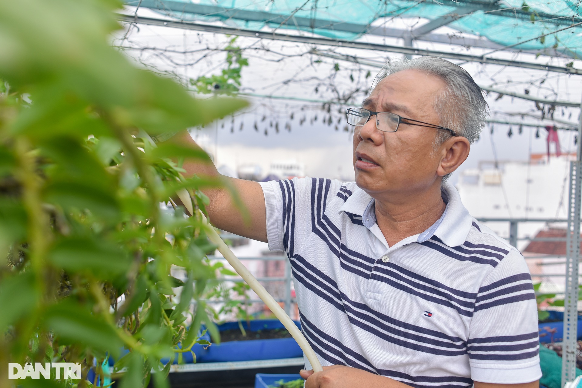 Trung Dân: Bị dè bỉu vì đi xe cà tàng, U60 viên mãn bên vợ được chỉ định - 14 Trung Dân: Bị dè bỉu vì đi xe cà tàng, U60 viên mãn bên vợ được chỉ định - 14