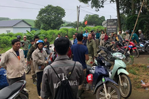 Vụ nam thanh niên mất tích khi đi bắt ong: Thi thể được tìm thấy ở vườn keo