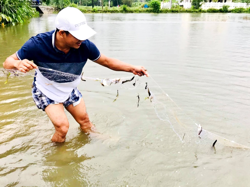 Hội An: Người dân phấn khởi đón “lộc trời” mùa lũ - 7 Hội An: Người dân phấn khởi đón “lộc trời” mùa lũ - 7