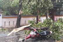 Thêm 2 người tử vong do bão số 5 tại Thừa Thiên - Huế