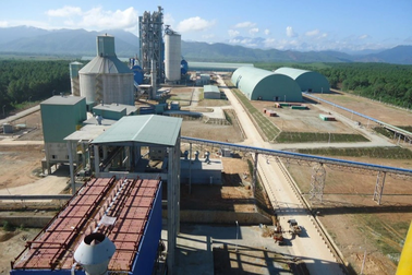 Có phương án thu hồi tối đa tài sản tại dự án nhà máy Bột giấy Phương Nam