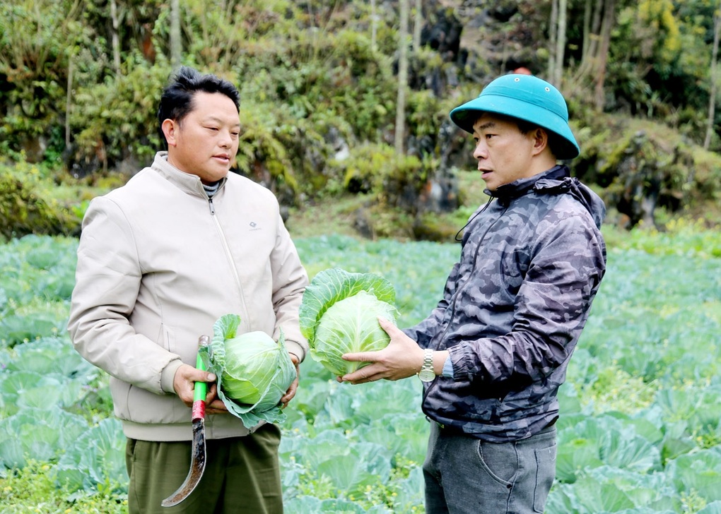 Tuyên Quang: Người dân nâng cao thu nhập từ cải tạo vườn tạp - 1 Tuyên Quang: Người dân nâng cao thu nhập từ cải tạo vườn tạp - 1