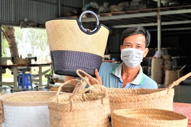 Đưa cỏ bàng nơi "rốn phèn" xuất ngoại, bỏ túi nửa tỷ đồng mỗi năm