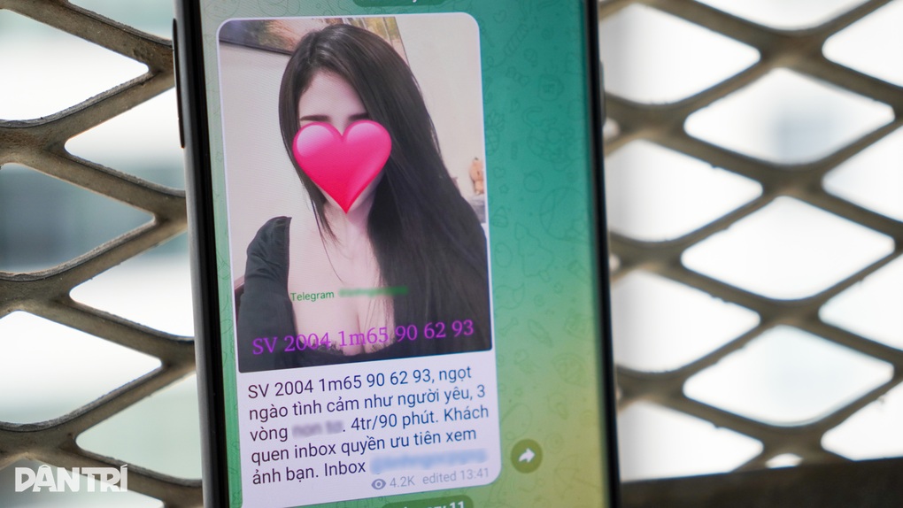 Telegram trở thành công cụ môi giới mua bán dâm tại Việt Nam - 1 Telegram trở thành công cụ môi giới mua bán dâm tại Việt Nam - 1