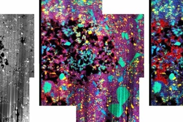 Phát hiện “hóa thạch băng” trong mảnh vỡ thiên thạch 4,6 tỷ năm tuổi