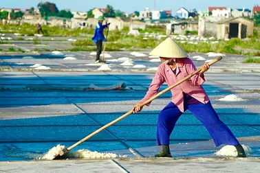 Nắng nóng hơn 40 độ C, hạt muối đẹp và diêm dân càng cực nhọc