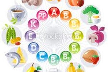 Bách khoa thư vi chất (2)