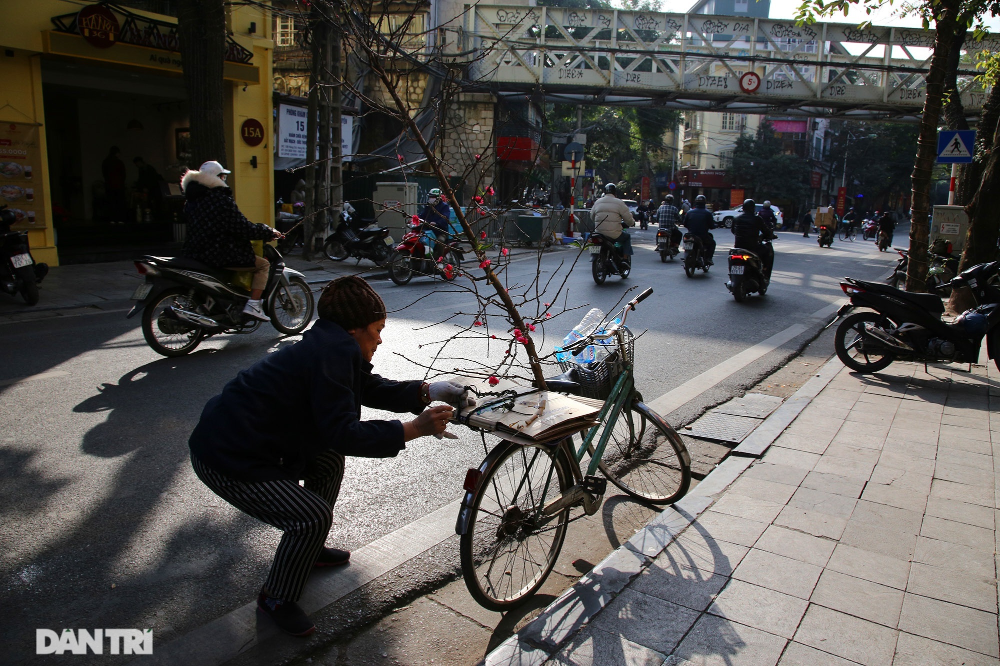 Đào sớm mang không khí Tết về trên đường phố - 4 Đào sớm mang không khí Tết về trên đường phố - 4