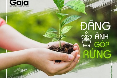 Xây dựng tổ ấm xanh, ý nghĩa lớn từ hành động nhỏ!