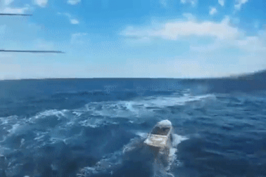 Vũ khí bí ẩn có thể giúp Nga săn xuồng tự sát của Ukraine