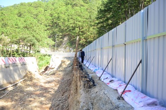 Tạm đóng đèo Prenn ở Đà Lạt trong 6 giờ để chặt hạ cây rừng