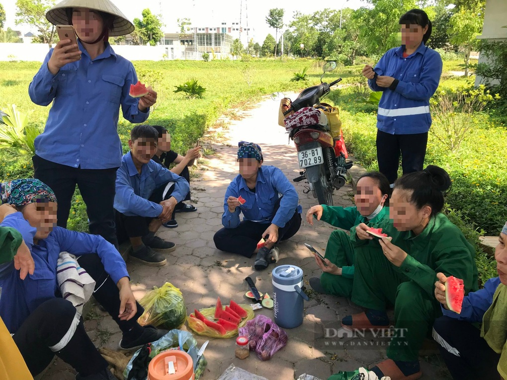 Trốn nắng nóng, hàng chục công nhân ngụy trang bằng lá cọ - 3 Trốn nắng nóng, hàng chục công nhân ngụy trang bằng lá cọ - 3
