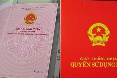 Sổ đỏ giả hoành hành, người lương thiện bất an