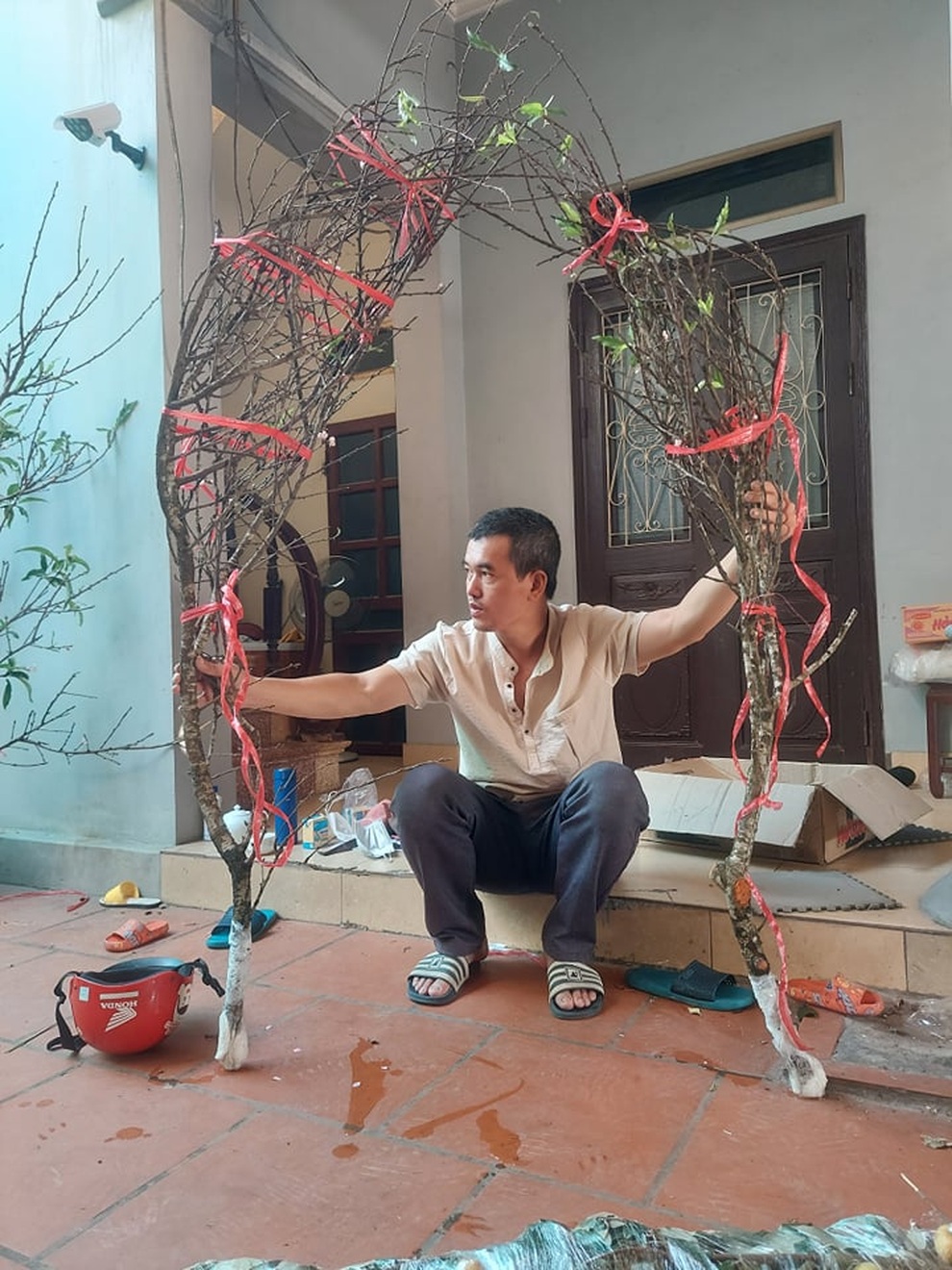 Không khí lạnh về, nhiều người đua nhau săn đón đào nở sớm - 6 Không khí lạnh về, nhiều người đua nhau săn đón đào nở sớm - 6