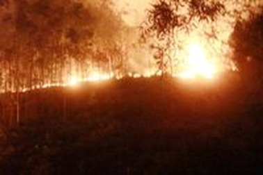 Thanh Hóa: Nhiều nghi vấn trong các vụ cháy rừng ở huyện Tĩnh Gia