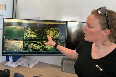 Na Uy phát triển ngành thủy sản bền vững, giá trị cao bằng cách nào?