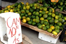 Bóc trần bí mật cam siêu rẻ giá 10.000 đồng/kg