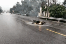 Xe máy bốc cháy dữ dội sau tai nạn