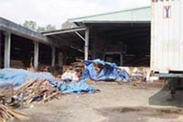 Cháy nhà máy gỗ, 5 công nhân bị bỏng  