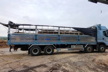 Nghi gây tai nạn chết người ở Bình Phước, tài xế lái xe 150km về Đồng Nai