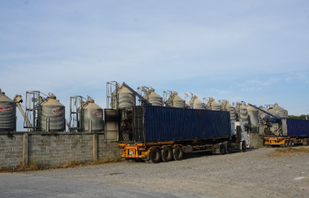GREENFEED nằm trong bảng xếp hạng doanh nghiệp toàn cầu nhờ chuyển đổi xanh - 2 GREENFEED nằm trong bảng xếp hạng doanh nghiệp toàn cầu nhờ chuyển đổi xanh - 2
