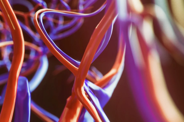 Virus corona tấn công nội mô mạch máu trên khắp cơ thể bệnh nhân