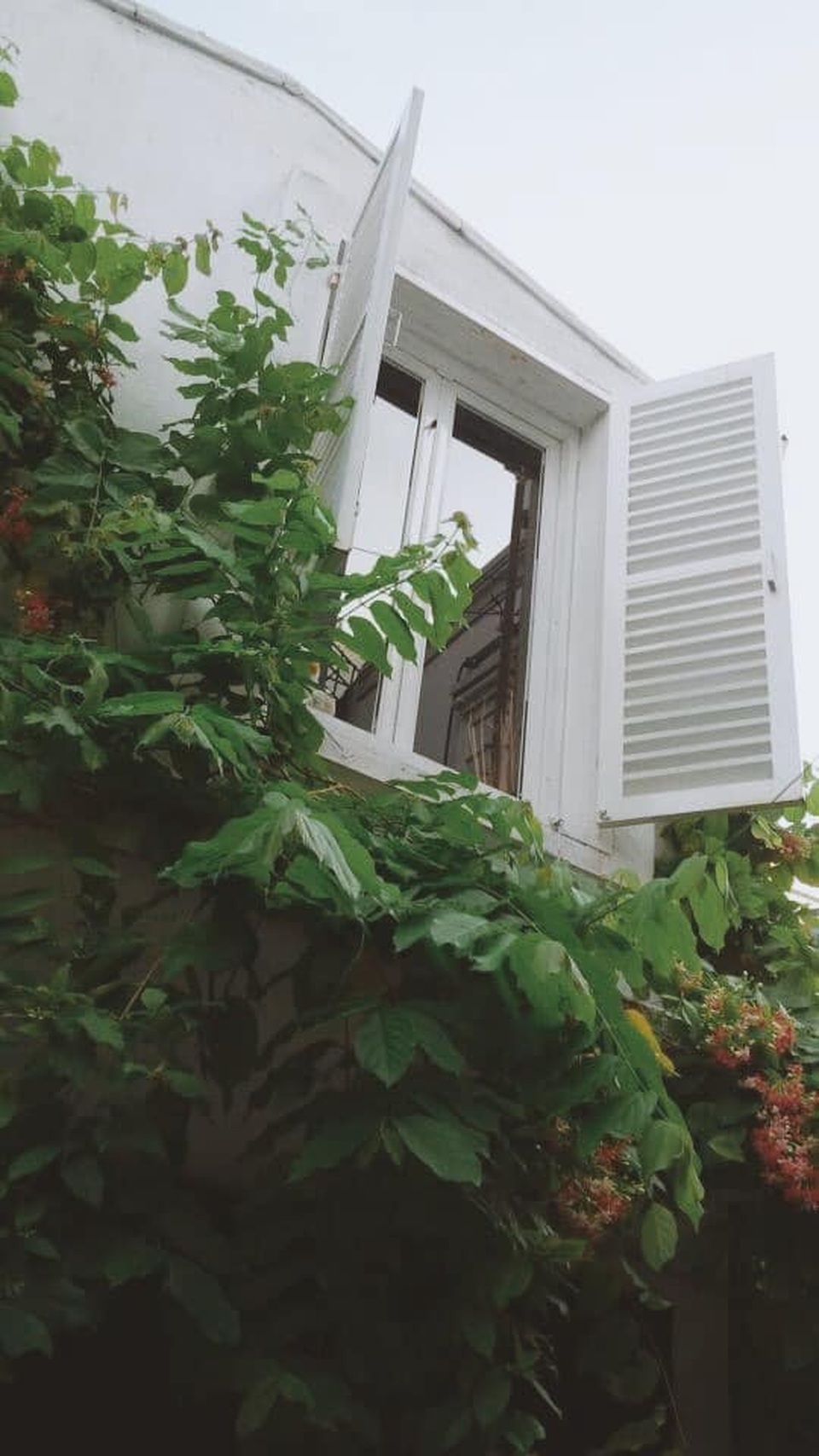 Chi 50 triệu đồng, chàng trai hô biến nhà cấp 4 cũ nát lột xác đẹp như mơ - 10 Chi 50 triệu đồng, chàng trai hô biến nhà cấp 4 cũ nát lột xác đẹp như mơ - 10