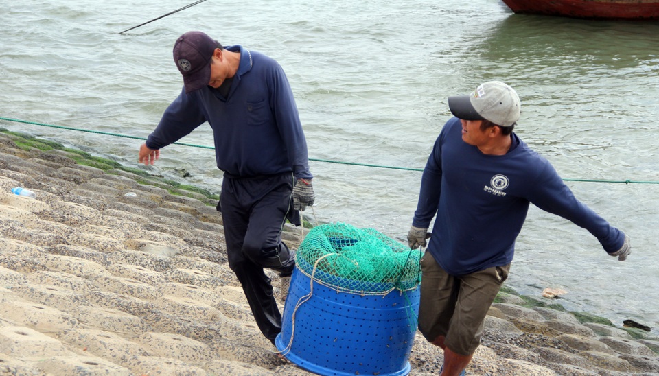 Tôm hùm khan hiếm, giá tăng đạt đỉnh - 3 Tôm hùm khan hiếm, giá tăng đạt đỉnh - 3