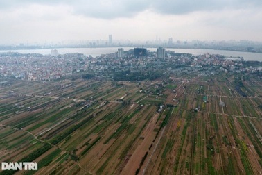 Sốt đất dữ dội: "Thổi giá" thu lời trăm nghìn tỷ đồng, có nên hình sự hóa?