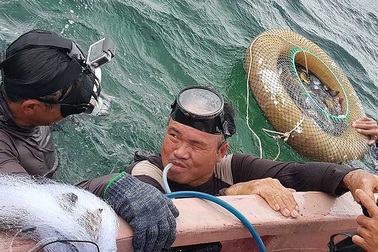 Tàn tật sau 6 giờ lặn biển