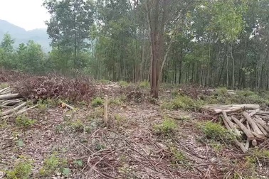 Ông Hùng trao đổi với PV