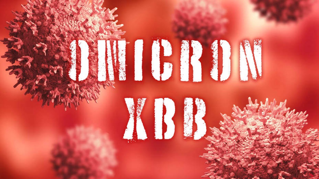 Biến thể XBB lây lan nhanh xuất hiện ở TPHCM và Tây Ninh - 1 Biến thể XBB lây lan nhanh xuất hiện ở TPHCM và Tây Ninh - 1