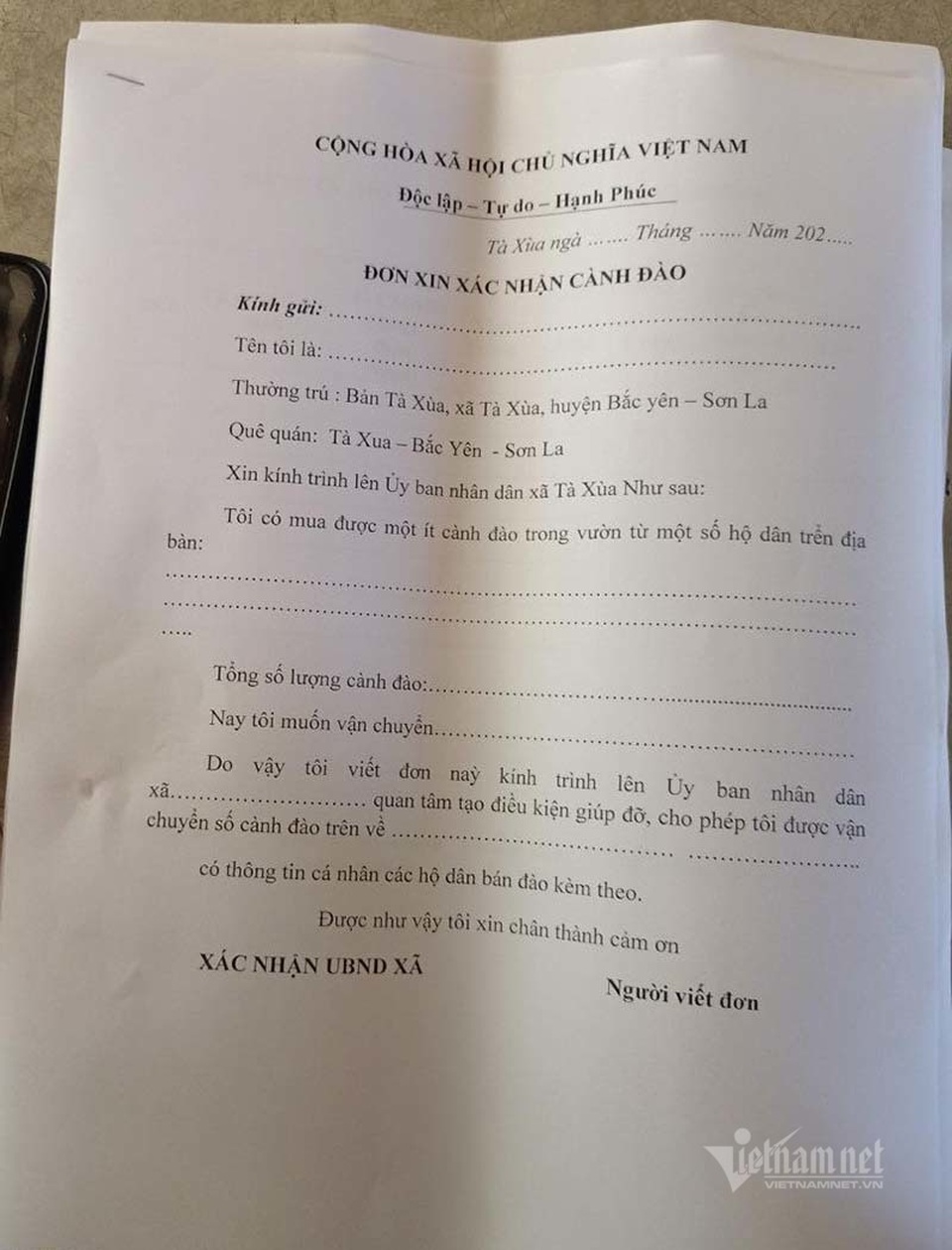 Đào rừng tê liệt: Dân buôn nằm im, nông dân bế tắc lo mất Tết - 1 Đào rừng tê liệt: Dân buôn nằm im, nông dân bế tắc lo mất Tết - 1