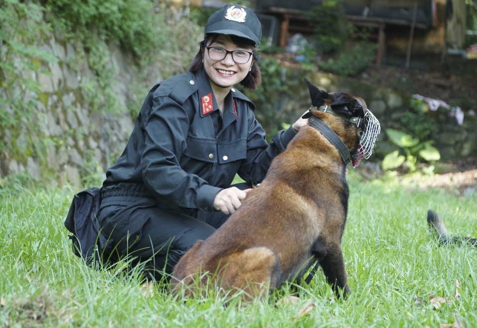 Chiêm ngưỡng khả năng đặc biệt trong trấn áp tội phạm của chó nghiệp vụ - 8 Chiêm ngưỡng khả năng đặc biệt trong trấn áp tội phạm của chó nghiệp vụ - 8