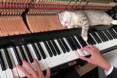 Clip “tâm trạng ngày thứ 6”