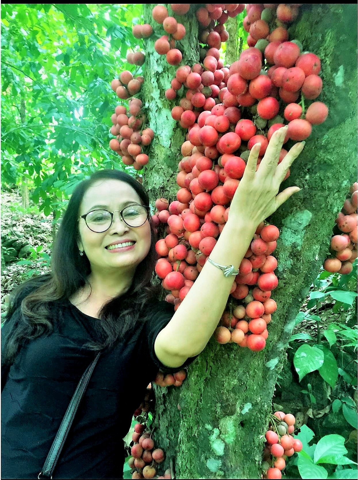 Du khách “lịm tim” với mùa dâu đất chín đỏ vùng trung du Quảng Nam - 4