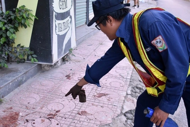 Vụ chó cắn du khách nước ngoài: Chủ chó sẽ bị xử lý hình sự với mức án nào?