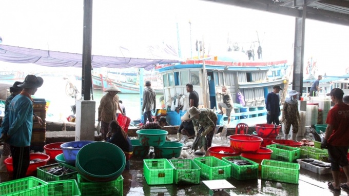 Tàu xa bờ cập bến, bán cá ngay tại cảng cá Hòn Rớ.
