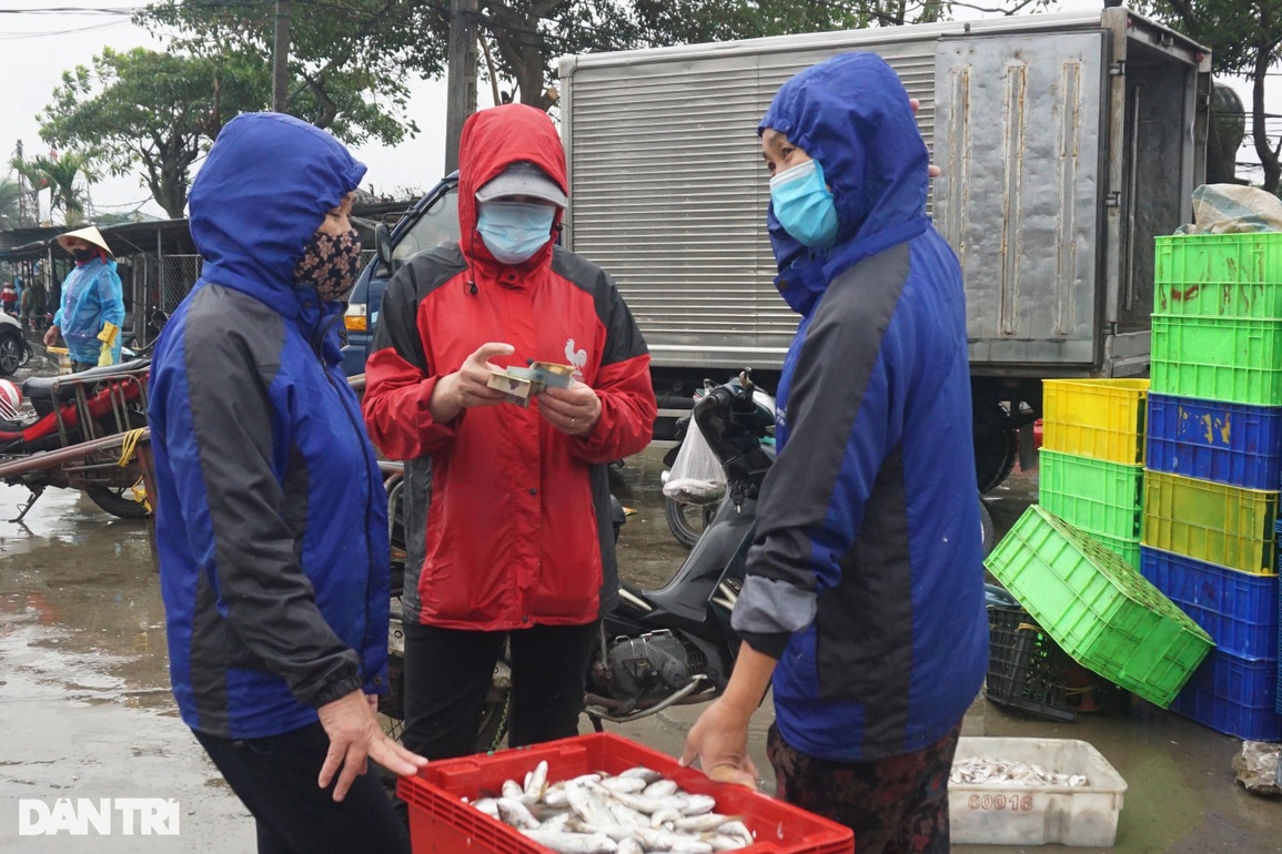 Đội mưa rét kiếm ngày triệu bạc, thợ bốc xếp ở cảng cá mơ Tết ấm - 6 Đội mưa rét kiếm ngày triệu bạc, thợ bốc xếp ở cảng cá mơ Tết ấm - 6