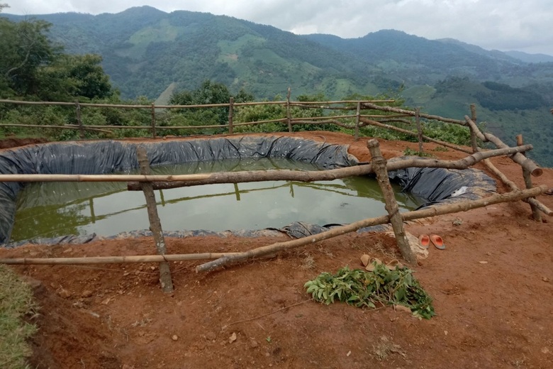 Ba trẻ đi chăn trâu tử vong do đuối nước - 1