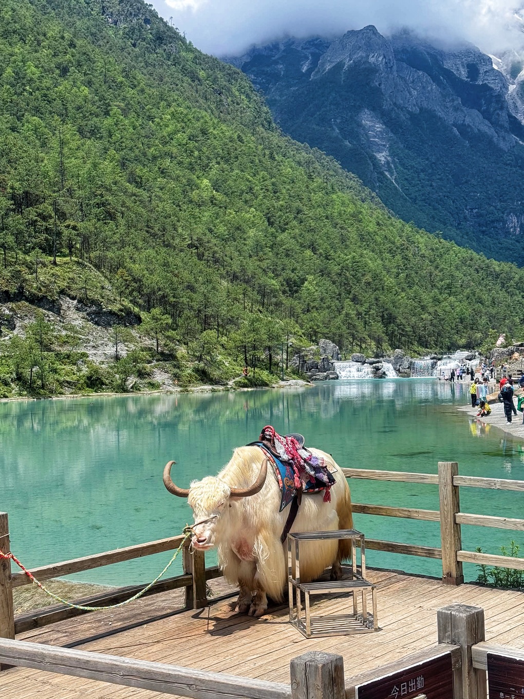 Thủ tục visa thay đổi, tin đồn thất thiệt: Vẫn cháy tour nước ngoài dịp 2/9 - 1 Thủ tục visa thay đổi, tin đồn thất thiệt: Vẫn cháy tour nước ngoài dịp 2/9 - 1