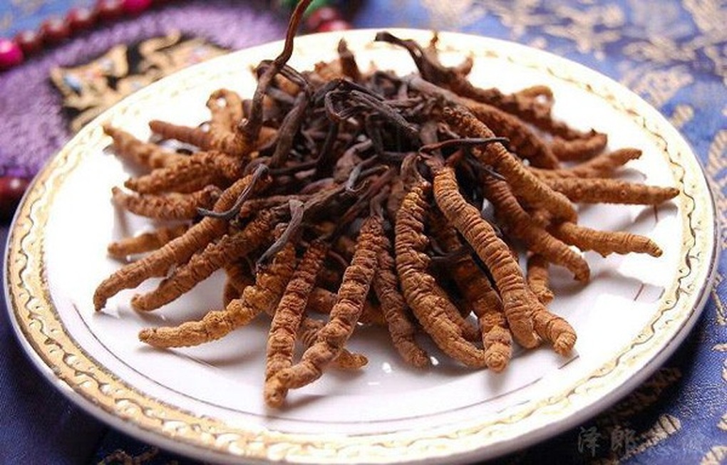 Loại thảo dược quý hơn vàng giúp chị em bồi bổ, dưỡng nhan - 3 Loại thảo dược quý hơn vàng giúp chị em bồi bổ, dưỡng nhan - 3
