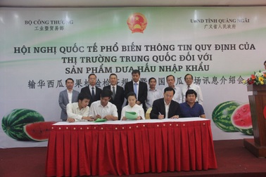 Xuất khẩu dưa hấu vào Trung Quốc khó: Do DN và người dân chậm được cập nhật thông tin