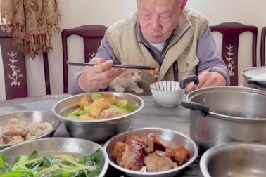 Khoảnh khắc đáng yêu khi cụ ông cho mèo ăn vụng bị "bắt quả tang"