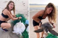 Siêu mẫu Gisele Bundchen nhận về "triệu like" vì ra tay cứu sống rùa biển