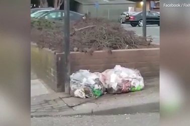 Kinh hãi chuột lúc nhúc kiếm ăn trên phố London