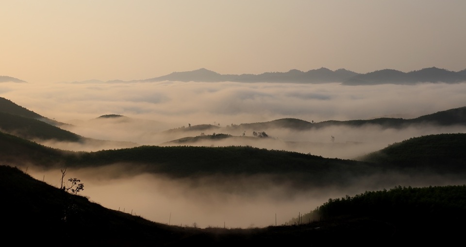 Mây giăng kín như bồng lai tiên cảnh trên đỉnh Giăng Màn - 2 Mây giăng kín như bồng lai tiên cảnh trên đỉnh Giăng Màn - 2